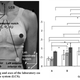 Illustration for article titled Study of Bouncing Breasts Will Revolutionize Science